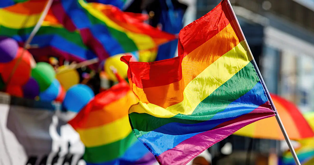 Pride Month Rainbow LGBT Flag | Custom signage by Evan Evans Australia