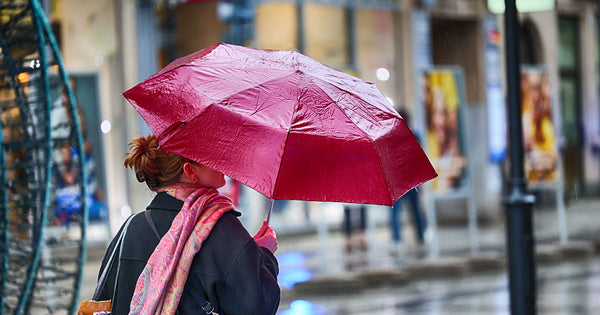 Wind Resistant Outdoor Signage