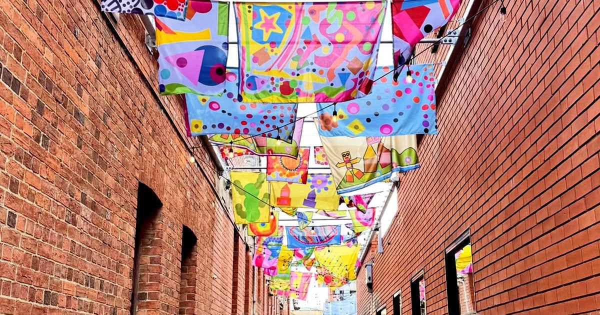 sunnyside art ballarat laneway flags wide | Custom signage by Evan Evans Australia