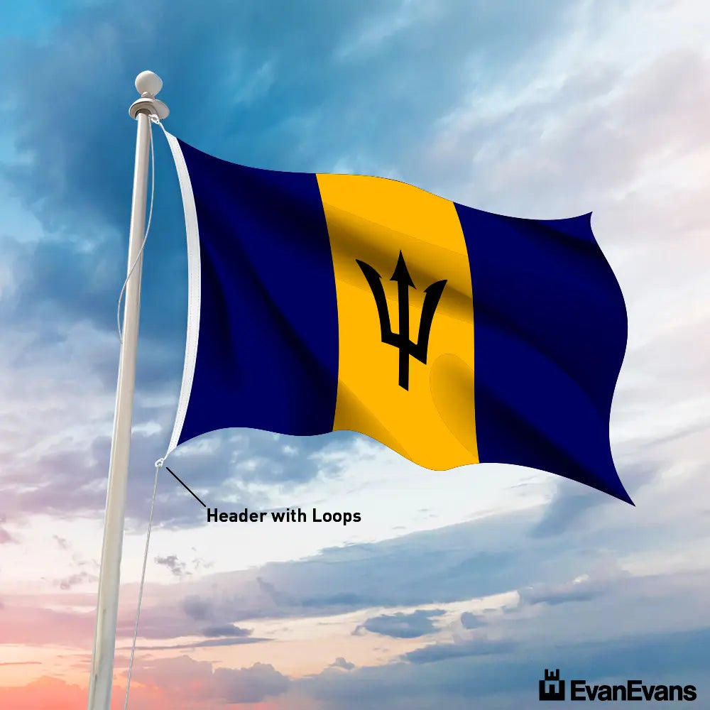 Barbados flag header with loops