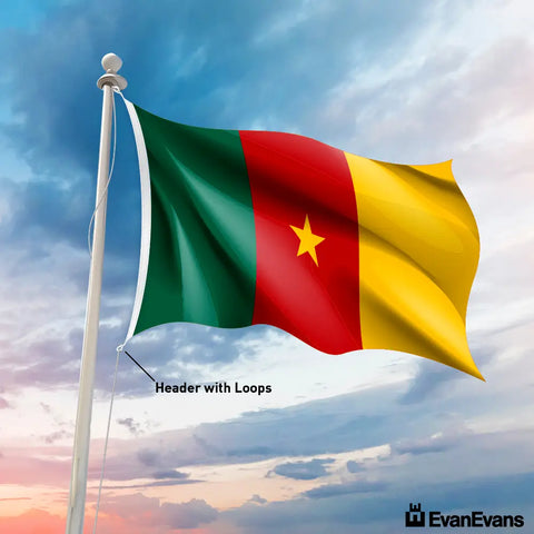 Cameroon flag header with loops