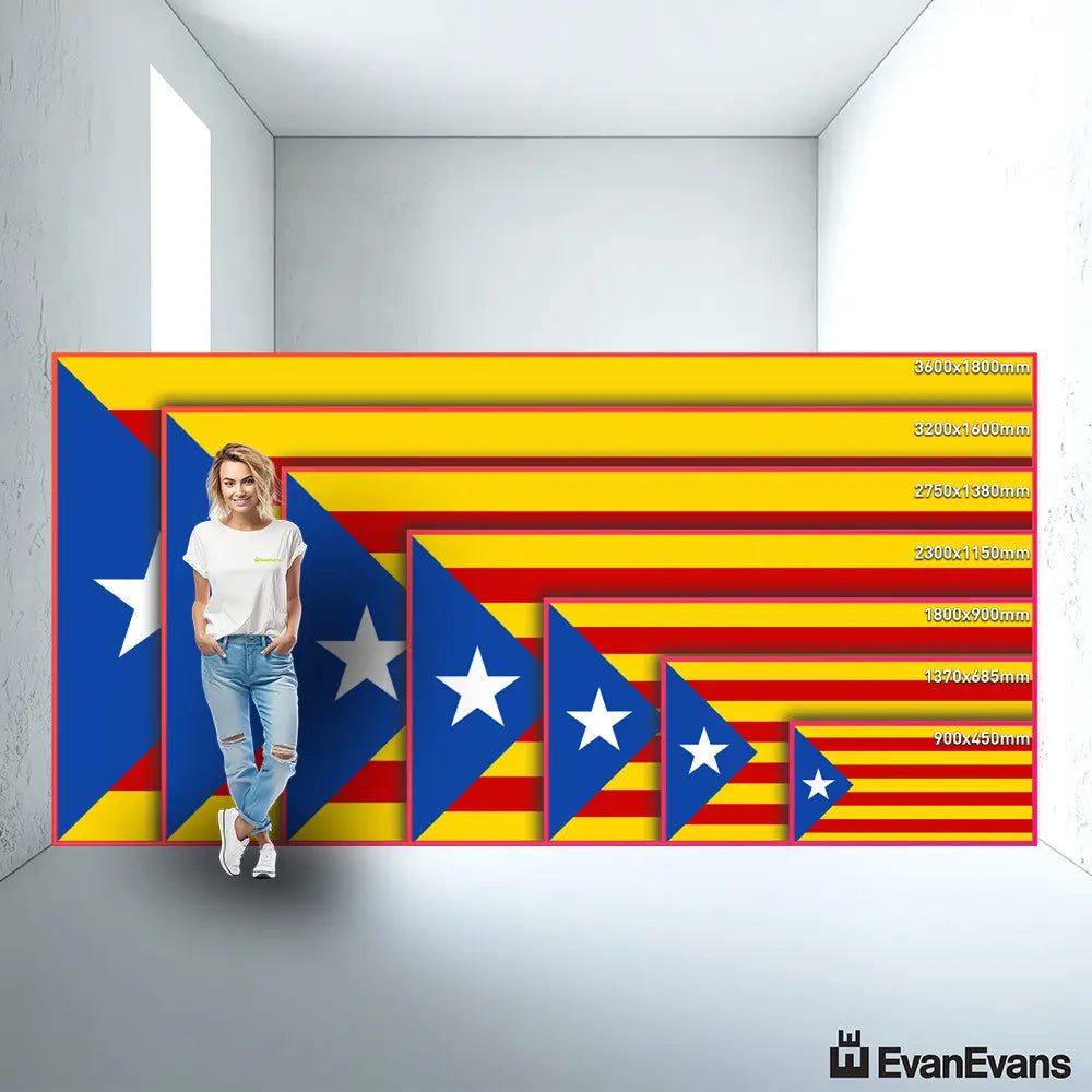Catalonia Estelada Blava flag size guide comparison