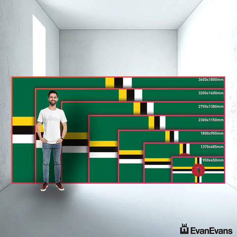 Dominica flag size guide comparison