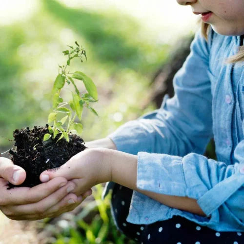 Sustainability Image