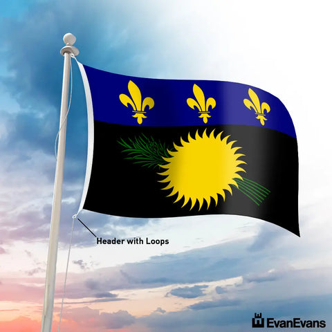 Guadeloupe flag header with loops