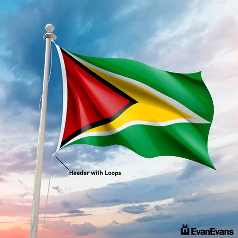 Guyana flag header with loops