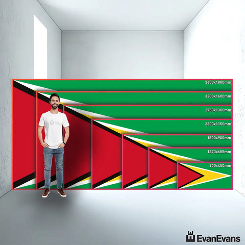 Guyana flag size guide comparison