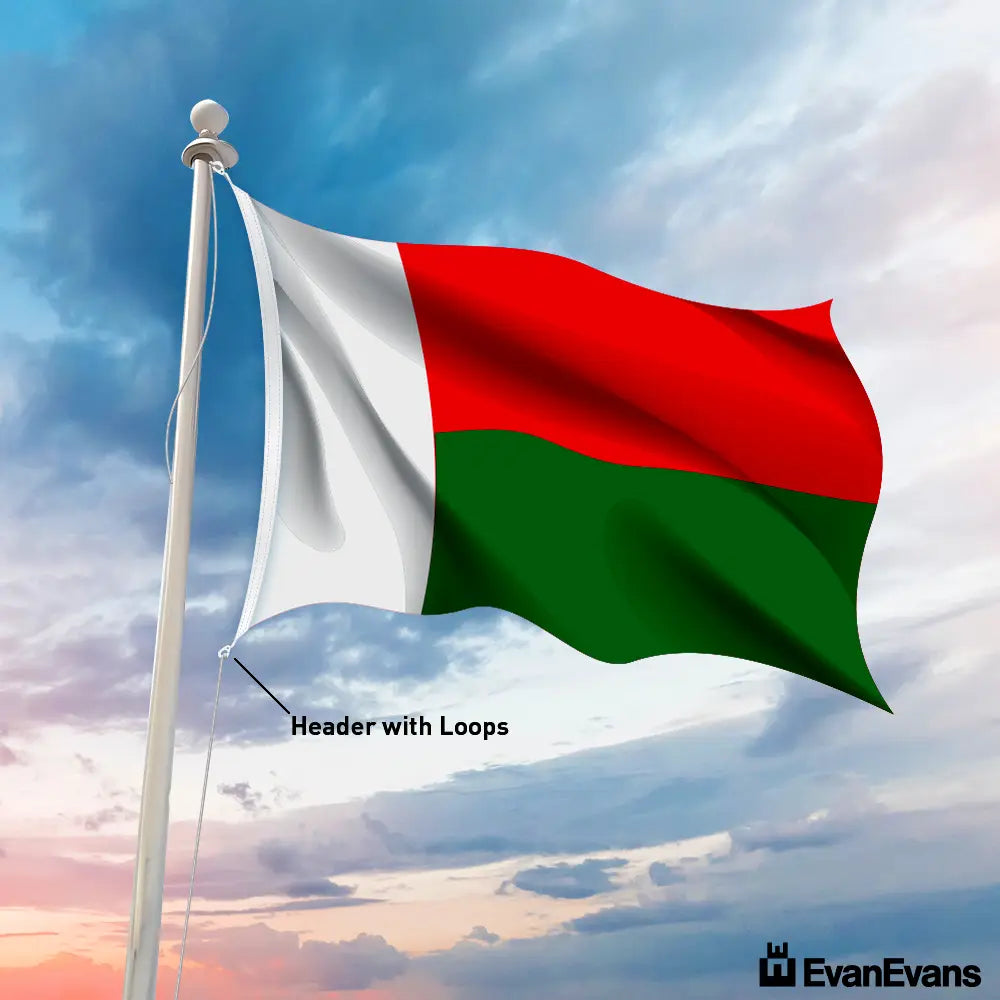 Madagascar flag header with loops