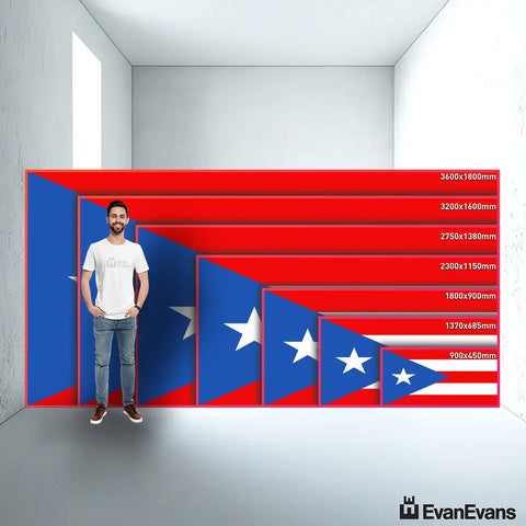Puerto Rico flag size guide comparison