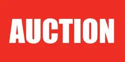Real Estate Flags Auction EvansEvans