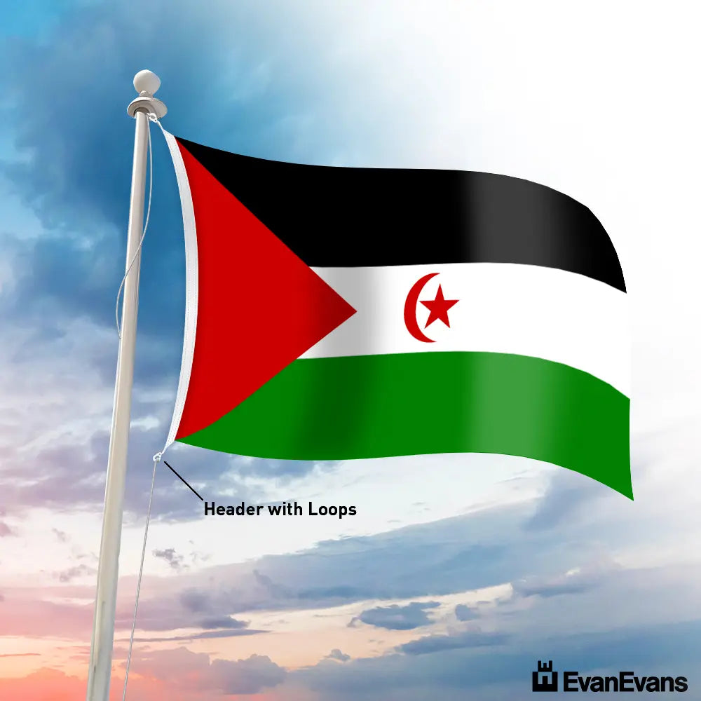Sahrawi Arab Democratic Republic flag header with loops
