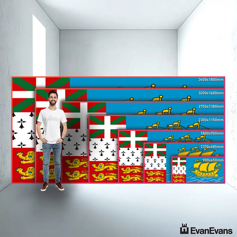 Saint Pierre and Miquelon flag size guide comparison