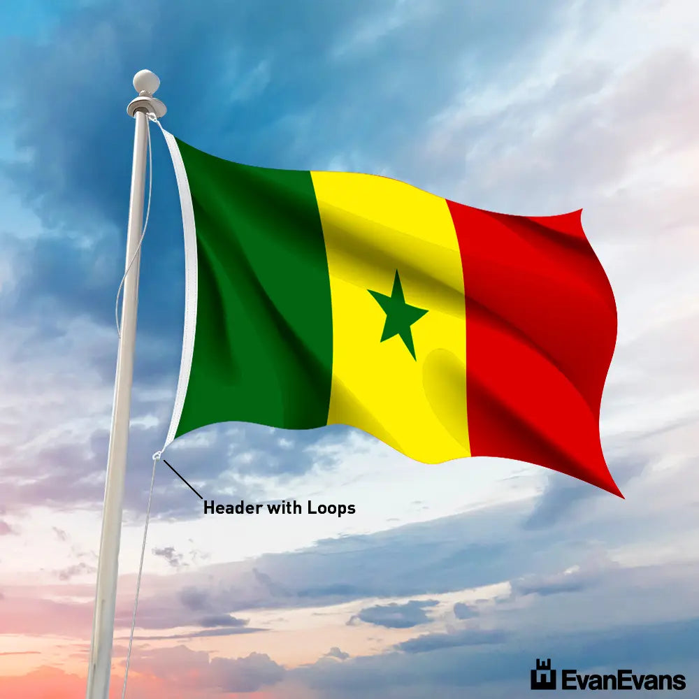 Senegal flag header with loops