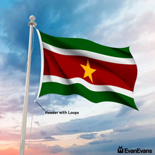 Suriname flag header with loops