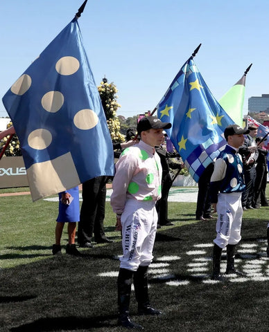 VRC Trilobal Flags & Presentation Poles 1