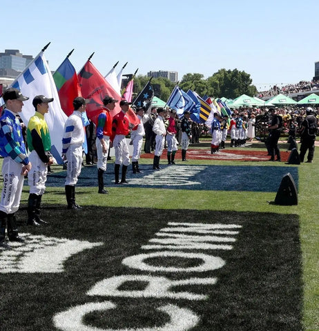 VRC Trilobal Flags & Presentation Poles 2