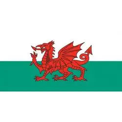 WALES FLAG EvansEvans
