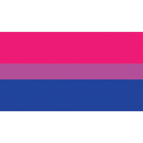 bisexual pride corflute poster