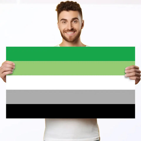 corflute lgbt aromantic poster