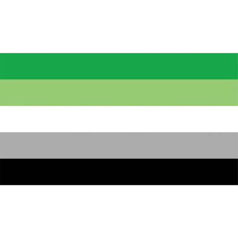 lgbt aromantic corflute poster