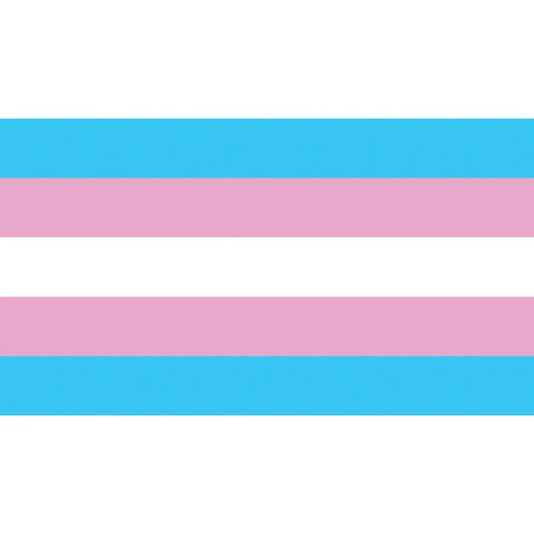 lgbt trans corflute poster