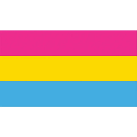 pansexual pride corflute poster